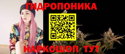герыч Владивосток