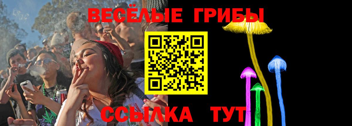 Галлюциногенные грибы прущие грибы  Вход с VPN  Воскресенск 